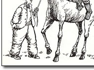 One of Martin Honeysetts illustrations